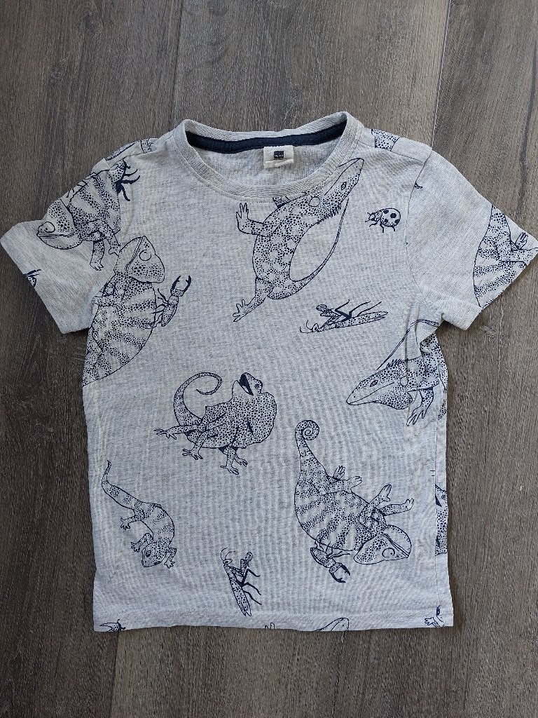 Jongens t-shirt kameleon, mt 110, Ophalen of Verzenden, Zo goed als nieuw, Jongen, Shirt of Longsleeve