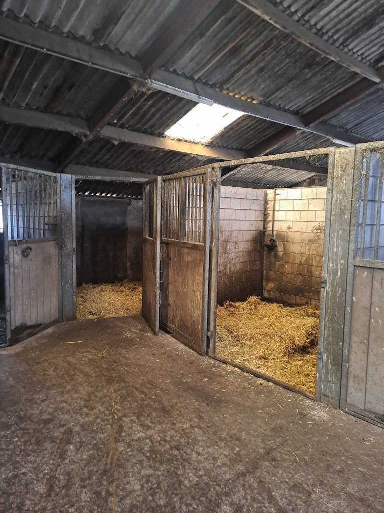 10 paardenboxen te huur op prachtige locatie, Dieren en Toebehoren, Stalling, 4 paarden of pony's of meer