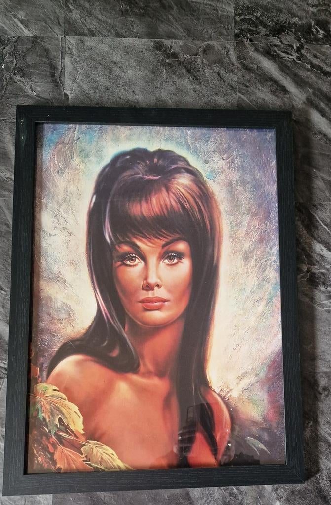 Voor de vintage liefhebber!!, Ophalen, Minder dan 50 cm, Schilderij, Minder dan 50 cm
