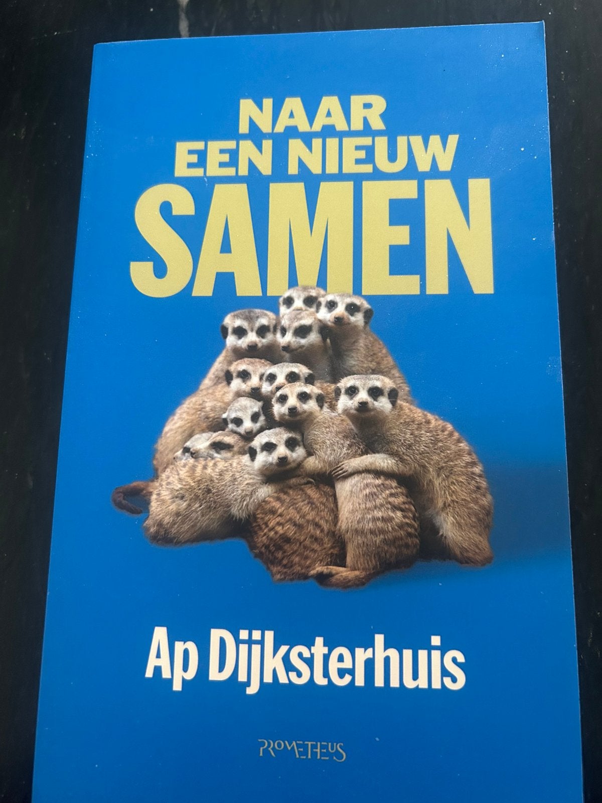 AP DIJKSTERHUIS naar een nieuw samen €7,99 incl verzenden, Boeken, Ophalen of Verzenden, Nieuw, Overige wetenschappen