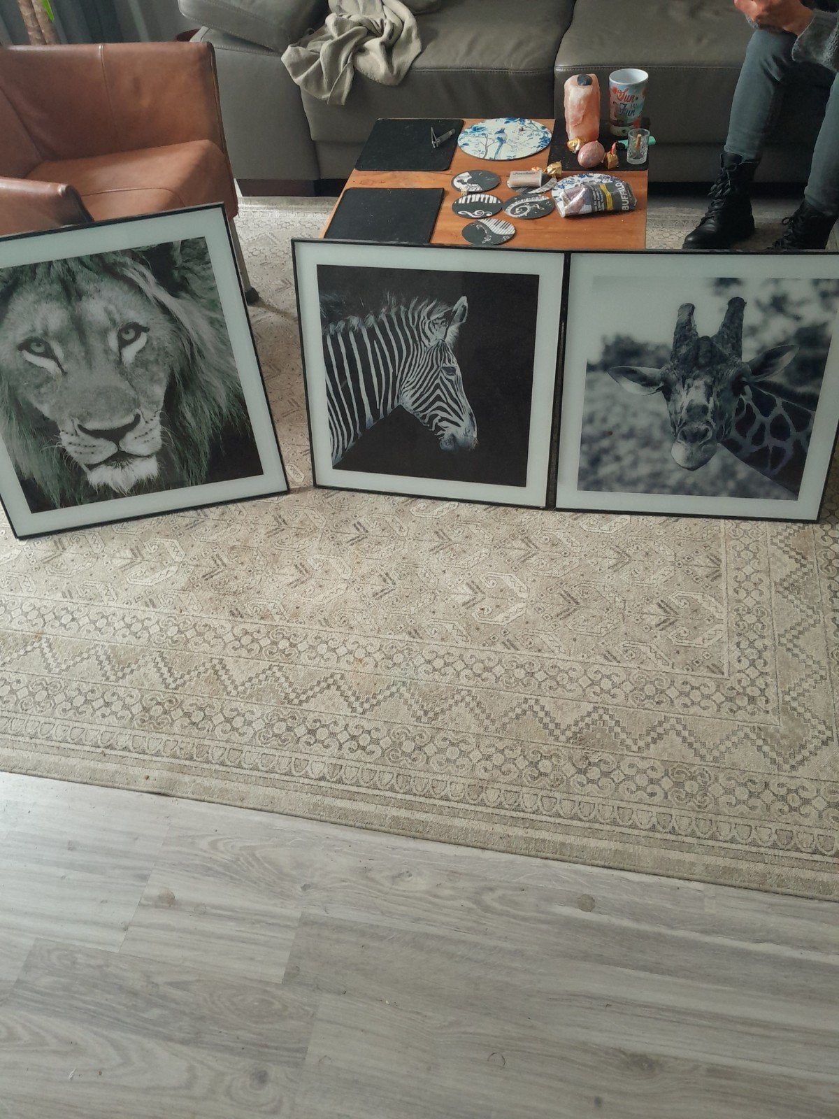 Safari fotos, Huis en Inrichting, Ophalen, Fotolijst