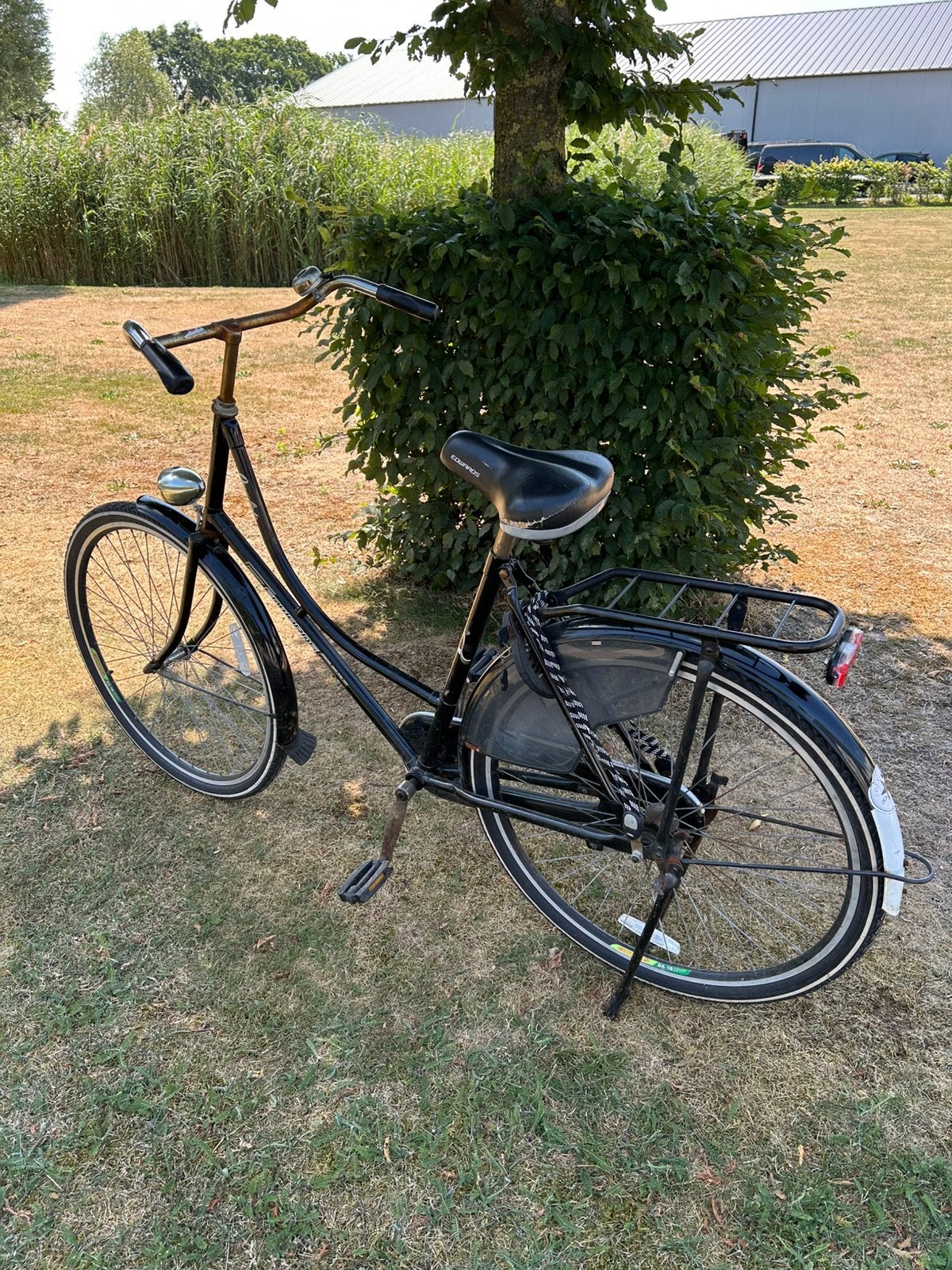 Omafiets, 56 cm of meer, Ophalen, Gebruikt
