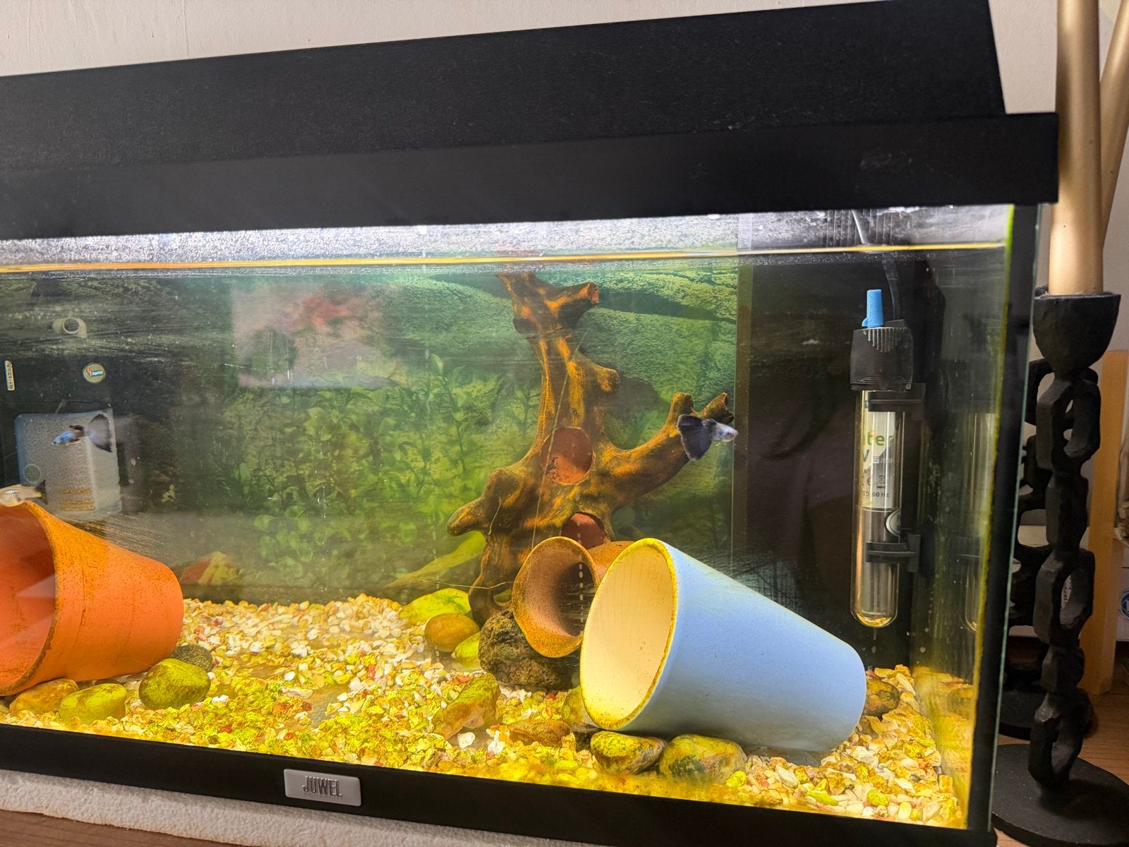Aquarium, Overige merken, Ophalen of Verzenden, Zo goed als nieuw, Inclusief planten