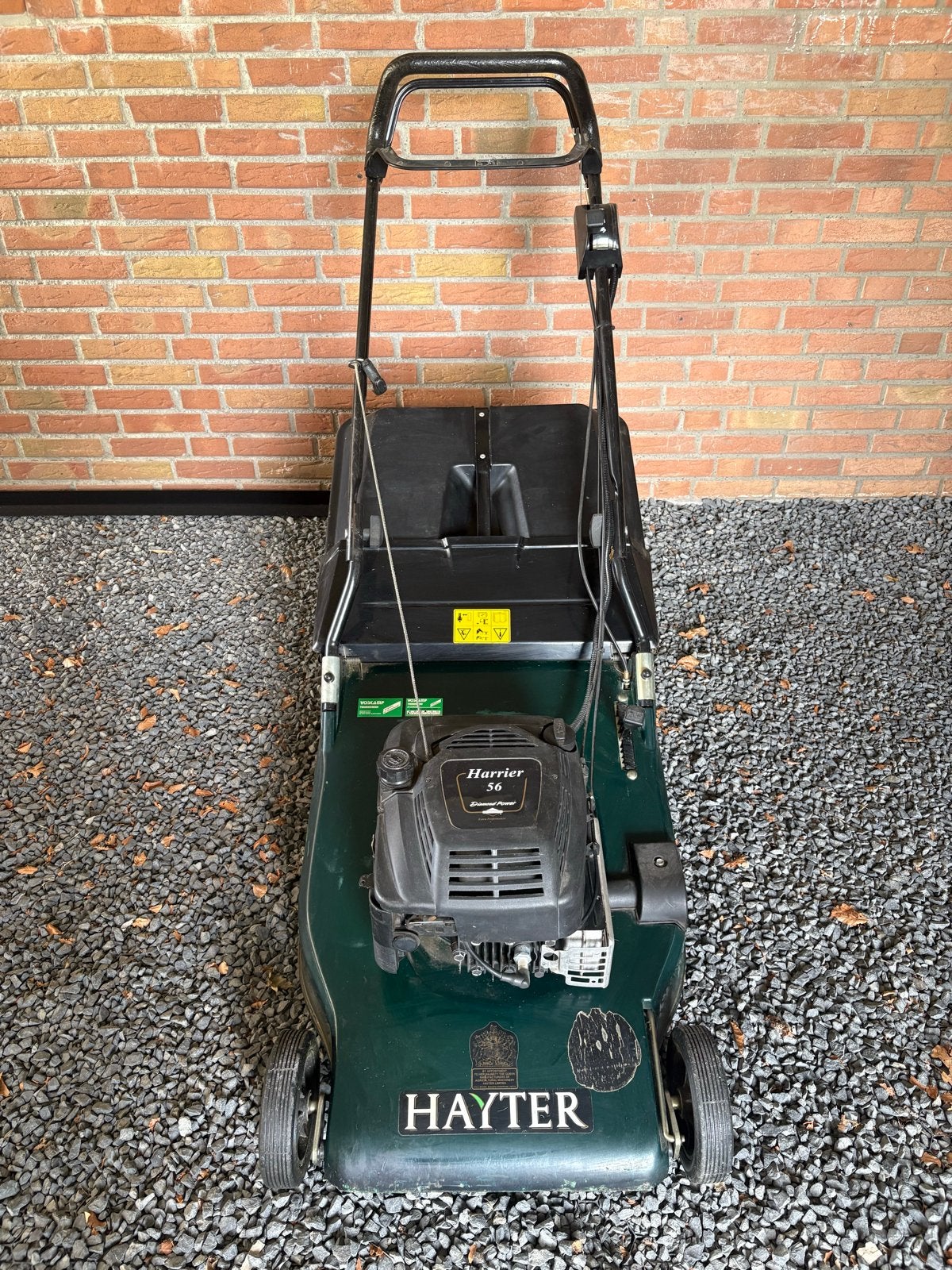 Hayter Harrier 56 Benzine Grasmaaier, Ophalen, Cirkelmaaier, Gebruikt, 50 cm of meer