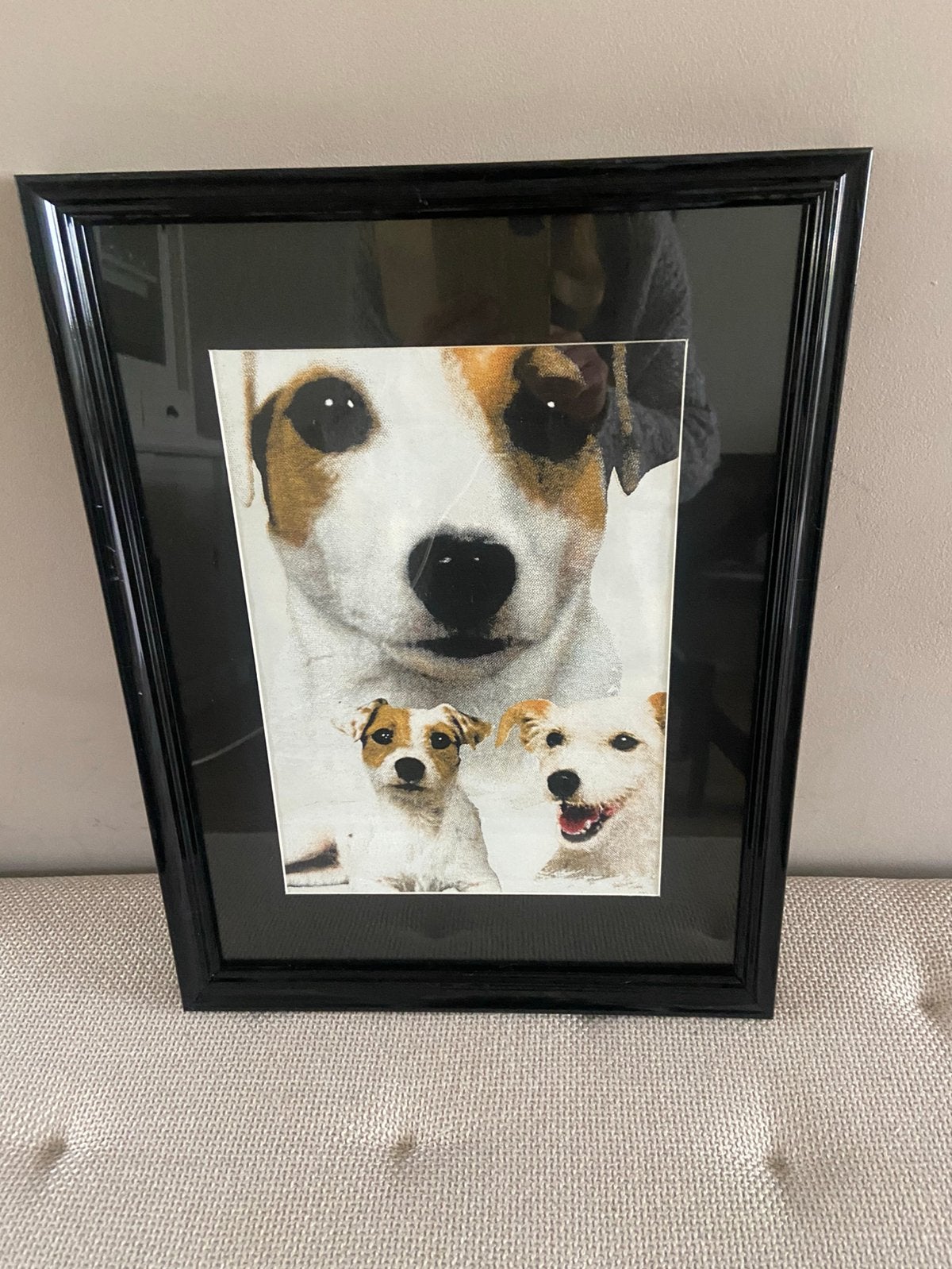 Lijst met jack russel afbeeldingen, Ophalen, Zo goed als nieuw