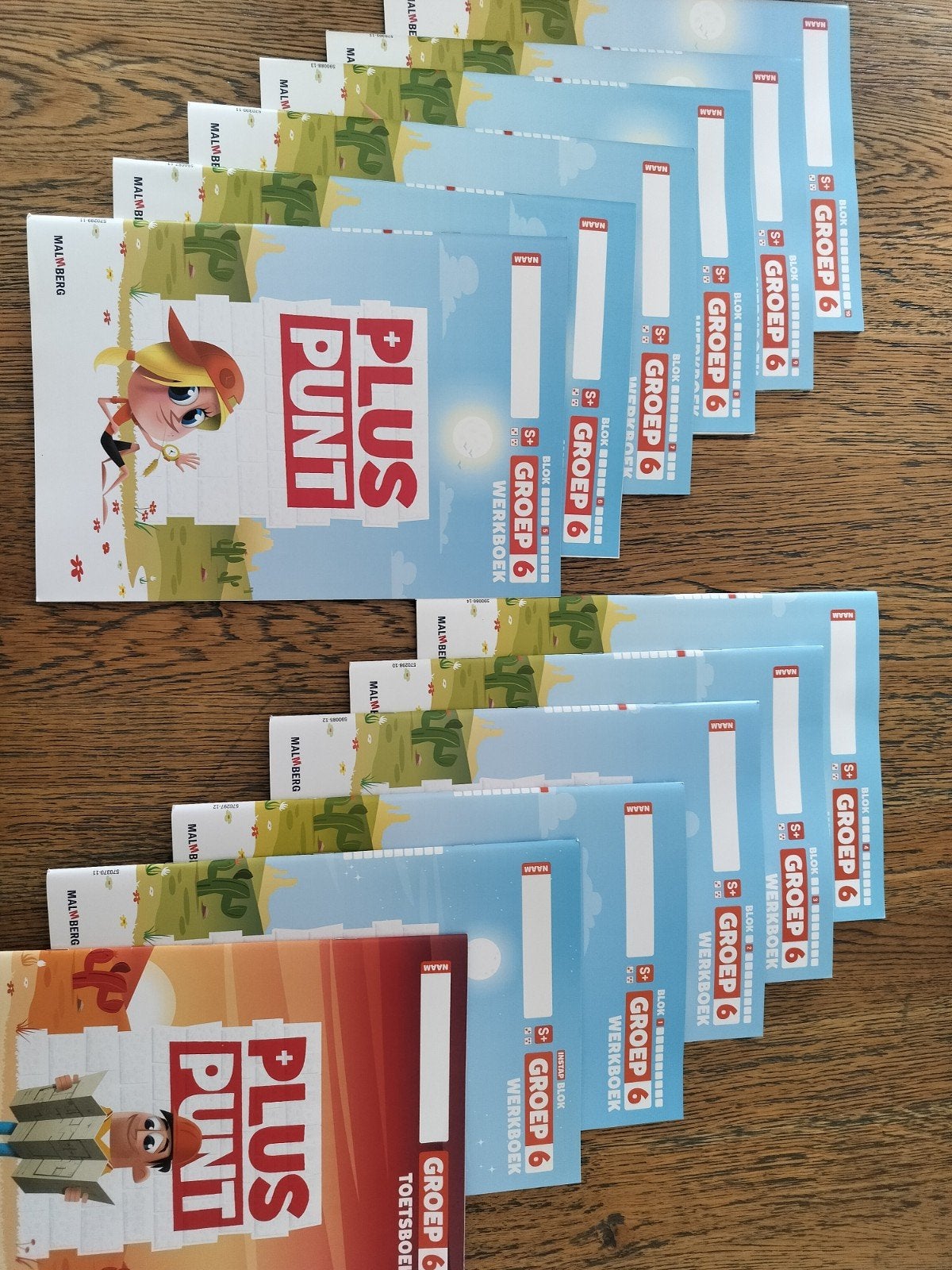 Pluspunt rekenmethode groep 6 compleet pakket + toetsboek, Boeken, Overige vakken, Malmberg, Nieuw, Ophalen of Verzenden
