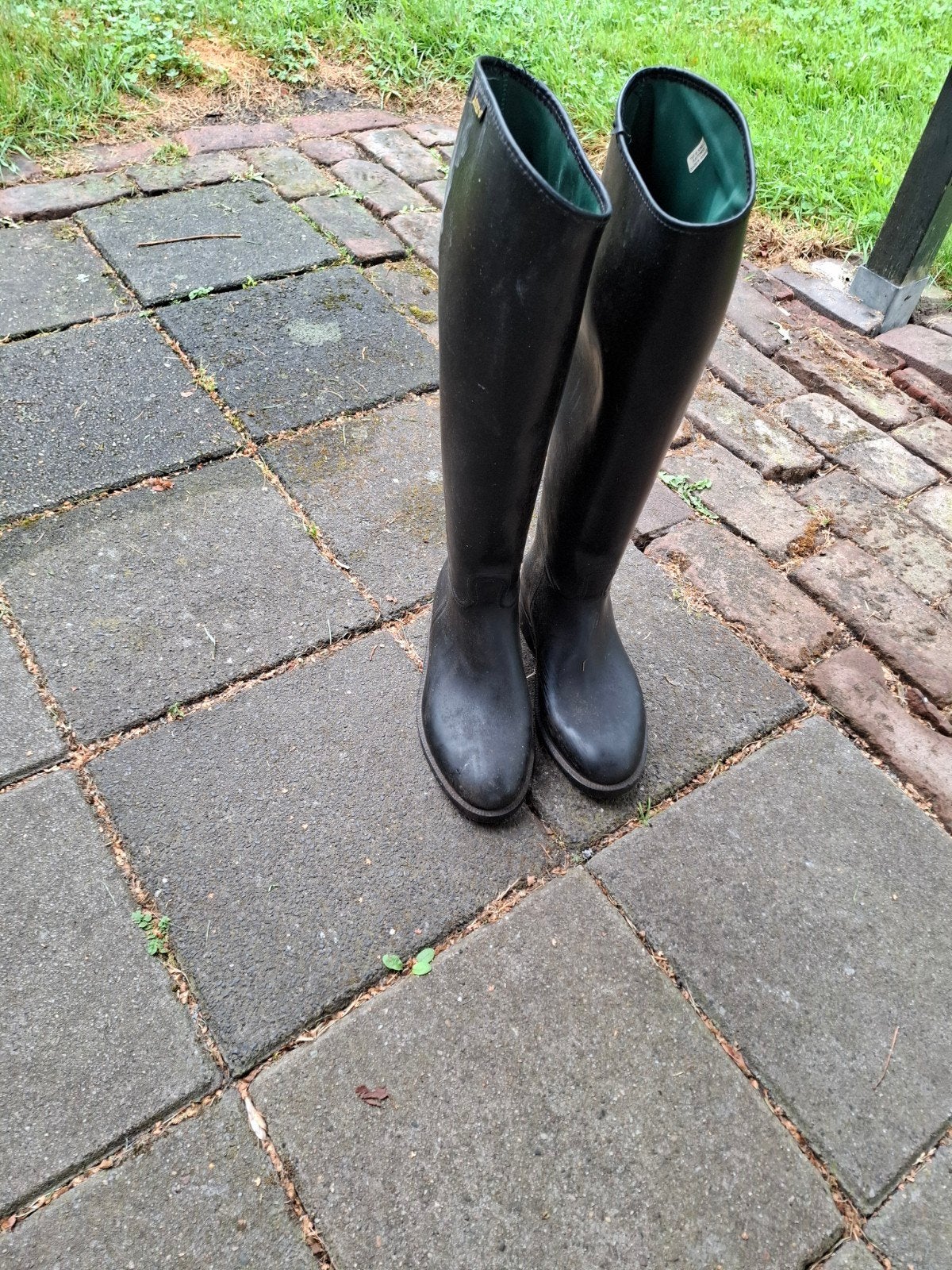 paardrijlaarzen, Dieren en Toebehoren, Gebruikt, Dressuur, Aigle, Ophalen of Verzenden