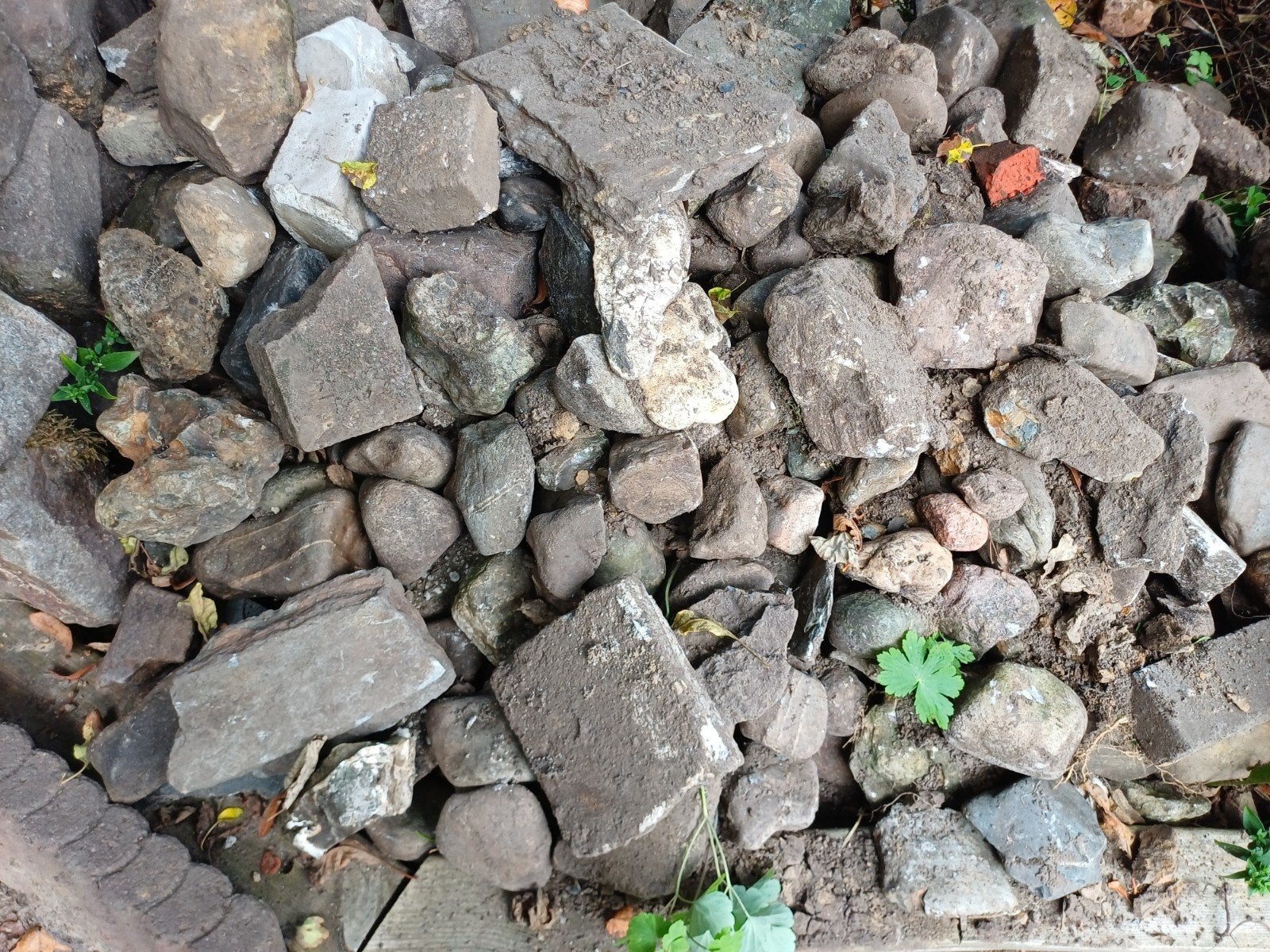 Diverse Berg Sierstenen voor Tuin of Decoratie, Tuin en Terras, Ophalen