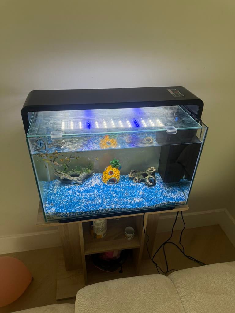 Aquarim, Ophalen, Zo goed als nieuw, Gevuld zoetwateraquarium