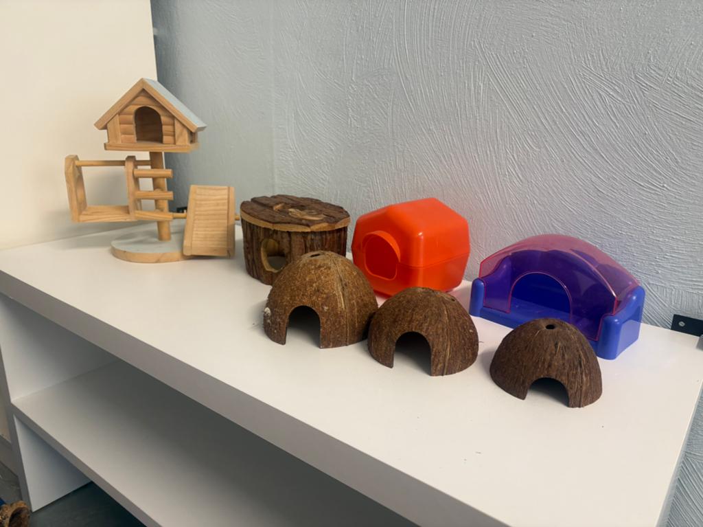 Producten voor hamster/hamsterkooi, Dieren en Toebehoren, Ophalen
