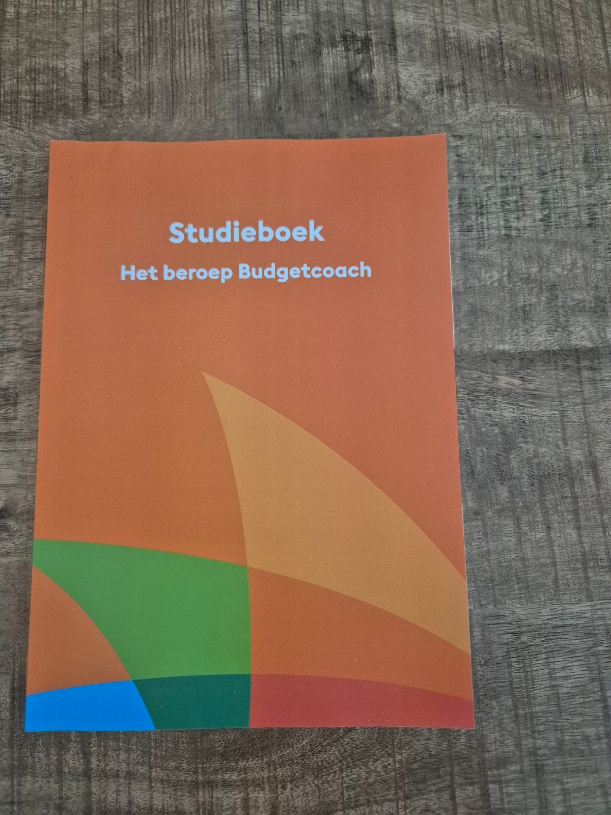 Studieboek & Werkboek Opleiding Budgetcoach Learncare NIEUW, Boeken, Learncare, Nieuw, Ophalen of Verzenden, MBO
