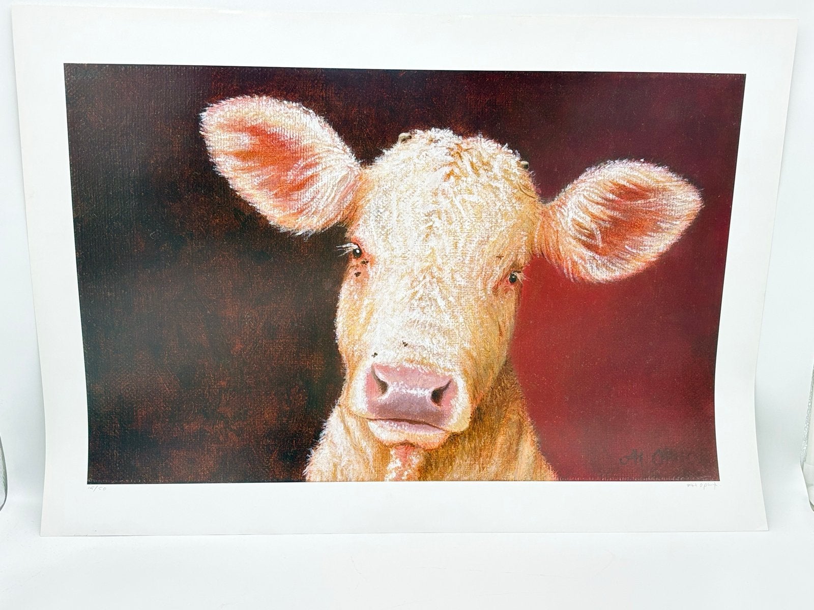Originele tekening kalf 70x50 cm gesigneerd, Ophalen, Tekening, Origineel