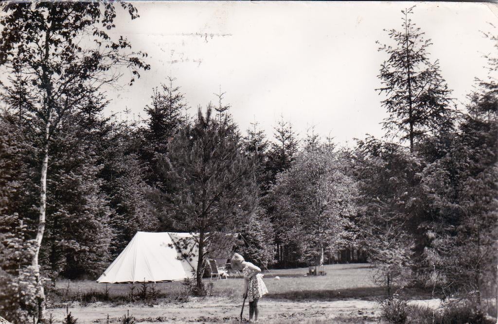 07568 Appelscha - Recreatiecentrum de Roggeberg - gel. 1964, Verzenden, 1960 tot 1980, Gelopen, Friesland