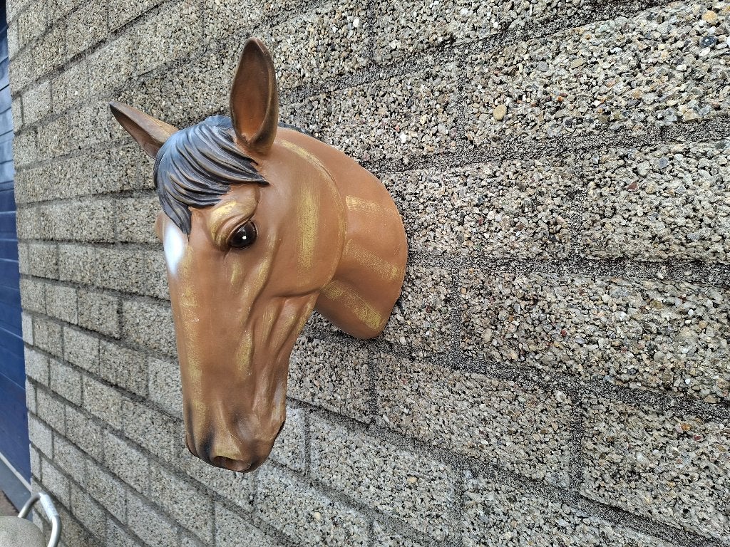 Decoratief Paardenhoofd Wanddecoratie, Ophalen of Verzenden, Zo goed als nieuw