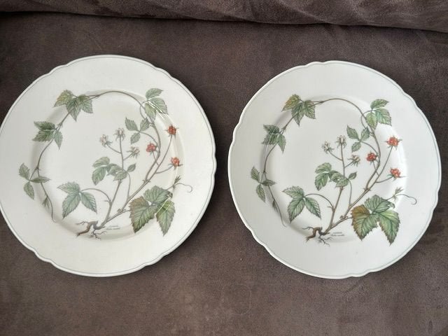 Seltmann Weiden Waldbeere dinerborden, Ophalen of Verzenden, Zo goed als nieuw, Bord(en), Overige stijlen