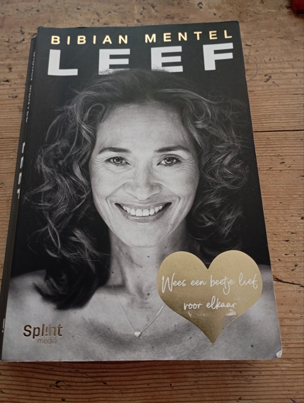 Bibian Mentel LEEF Boek igst, Boeken, Ophalen of Verzenden