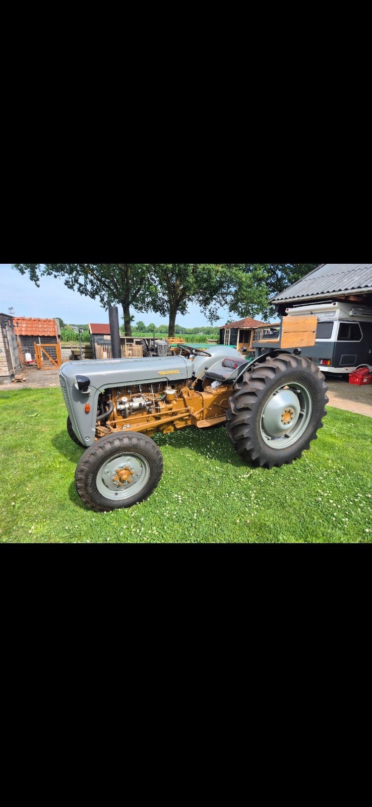 Ferguson 35 goudbuik, Zakelijke goederen, Agrarisch | Tractoren, Meer dan 10000, Oldtimer, Tot 80 Pk, Ophalen