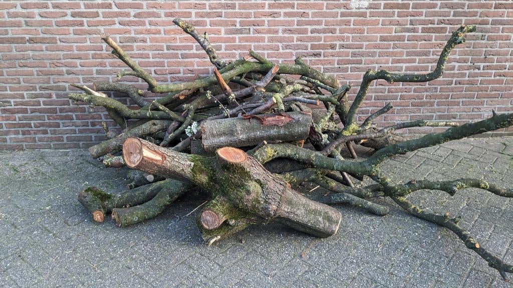 Leuke takken om hout te snijden bewerken , pruimen en kersen, Ophalen of Verzenden, Nieuw, Hout, Knutselmateriaal