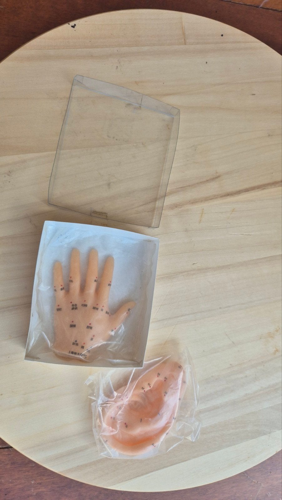 Acupunctuur model hand + oor – Shanghai Specimen Factory, Ophalen of Verzenden, H, V, H