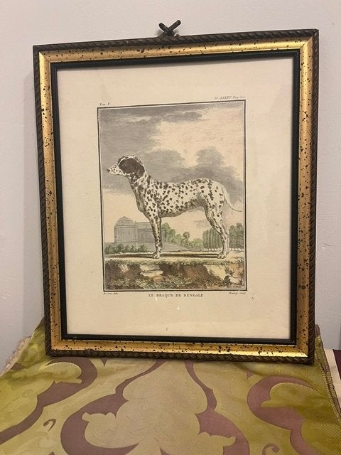 H2-Franse sculpture  Le Braque de Bengale 35x30, Huis en Inrichting, Verzenden, Zo goed als nieuw, Achter glas, Wandsculptuur