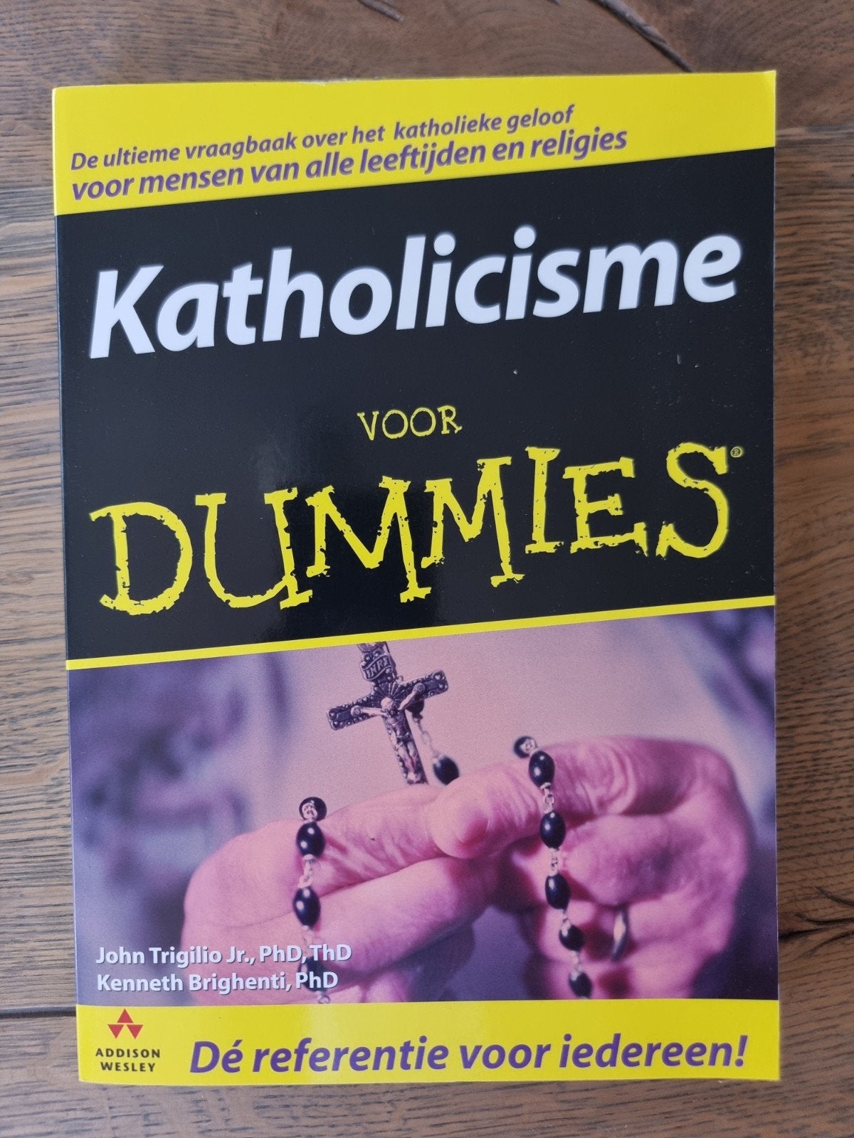 J. Trigilio - Katholicisme voor Dummies, Boeken, Ophalen of Verzenden, Gelezen, J. Trigilio; K. Brighenti