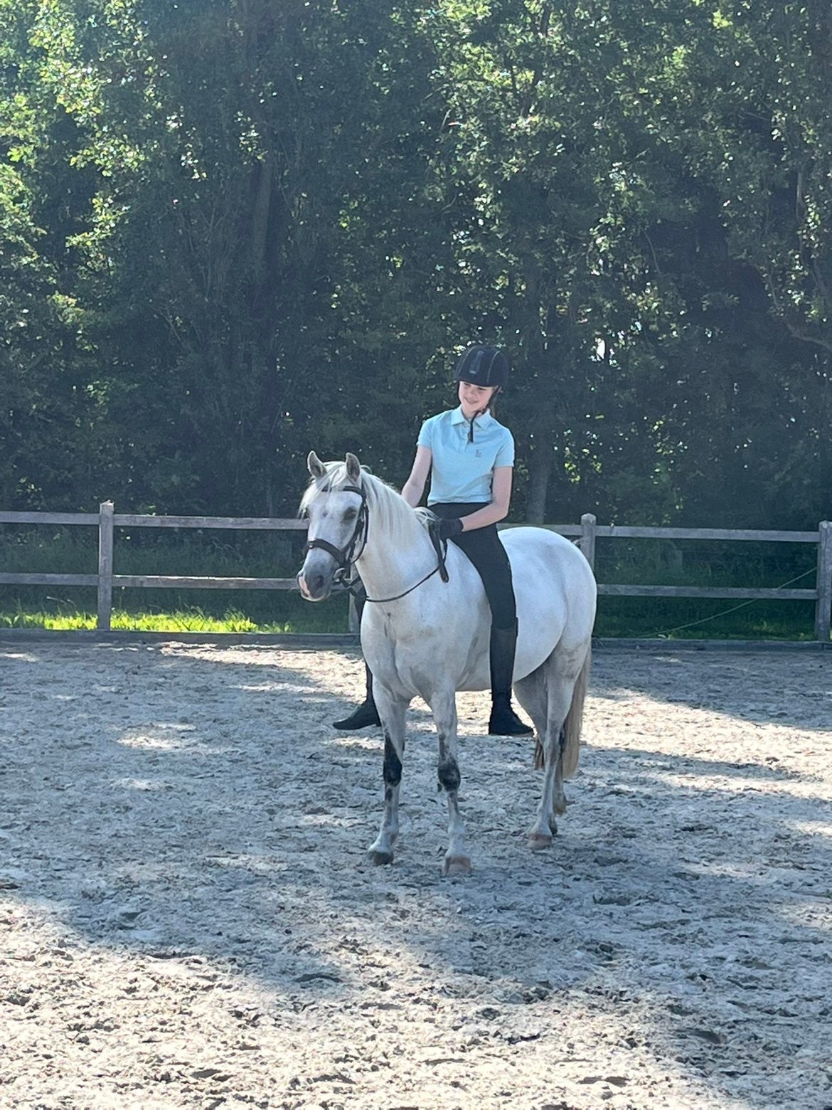 Verzorgpony gezocht