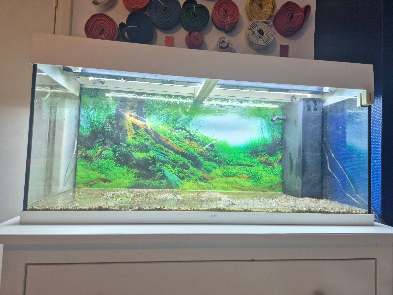 Juwel aquarium rio 180 led.
101x41x50 cm.
Wit.
180 Liter., Dieren en Toebehoren, Vissen | Aquaria en Toebehoren, Ophalen, Verlichting of Verwarming