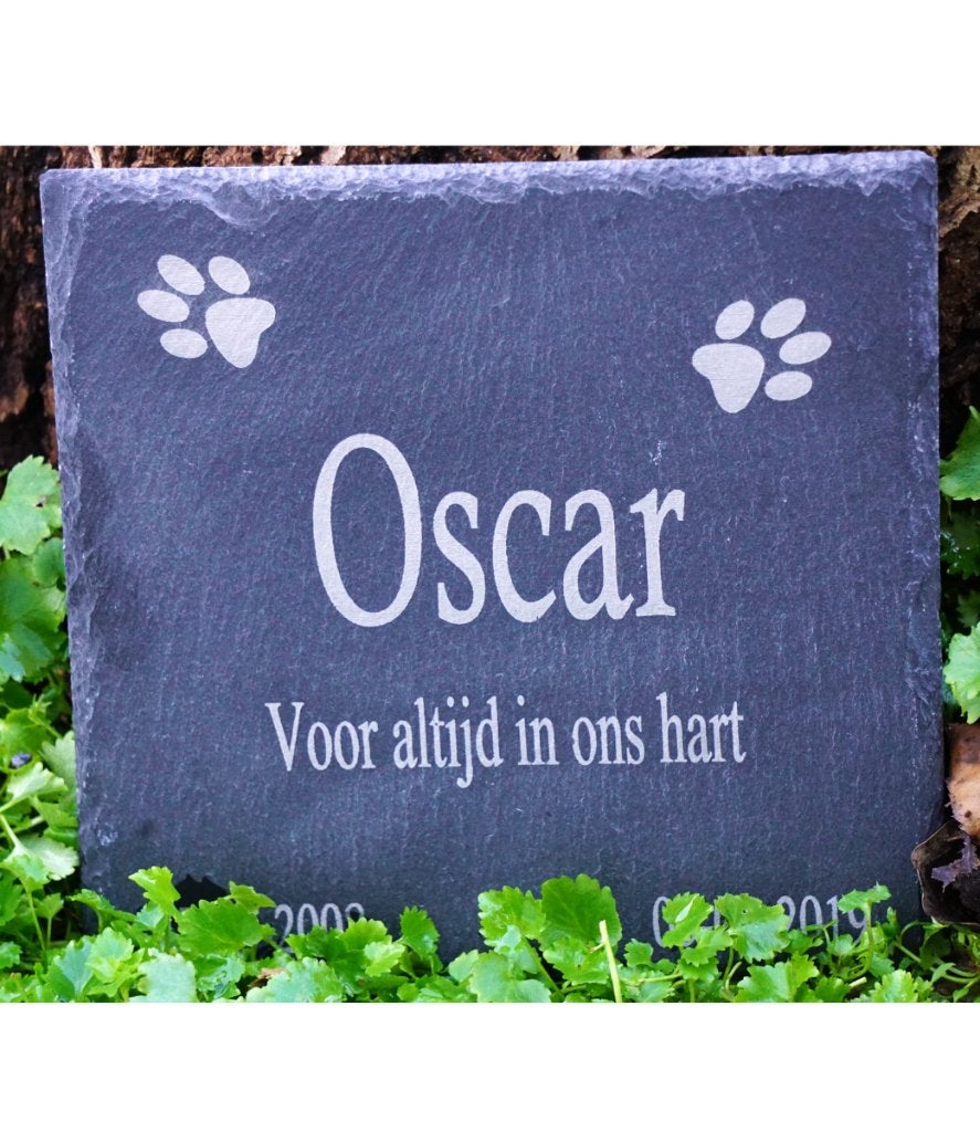 Leistenen Gedenksteen met Pootjes – Voor Kat of Hond, Dieren en Toebehoren, Verzenden, Nieuw