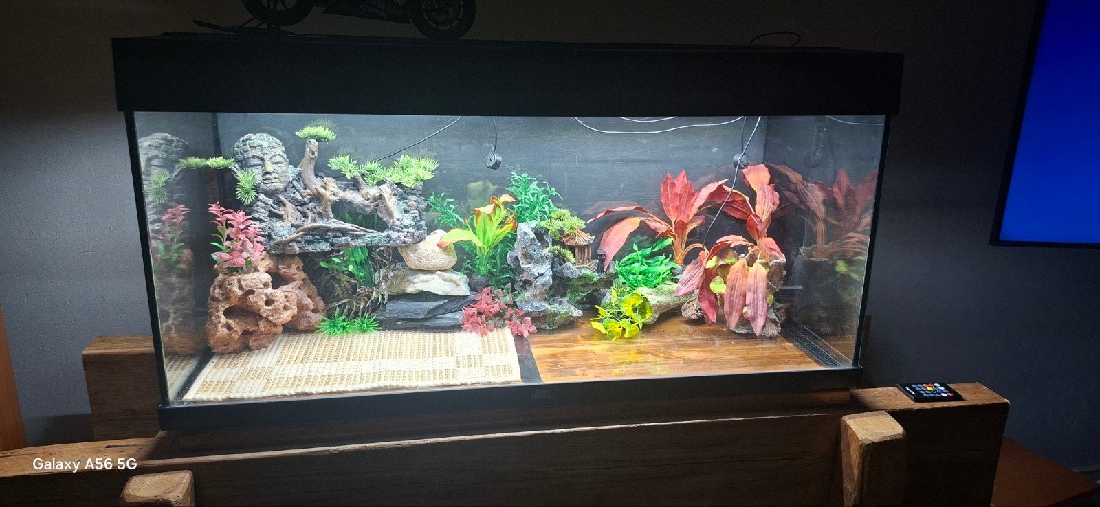 Juwel aquarium met bodemschade, Ophalen, Gebruikt, Juwel, Inclusief deksel