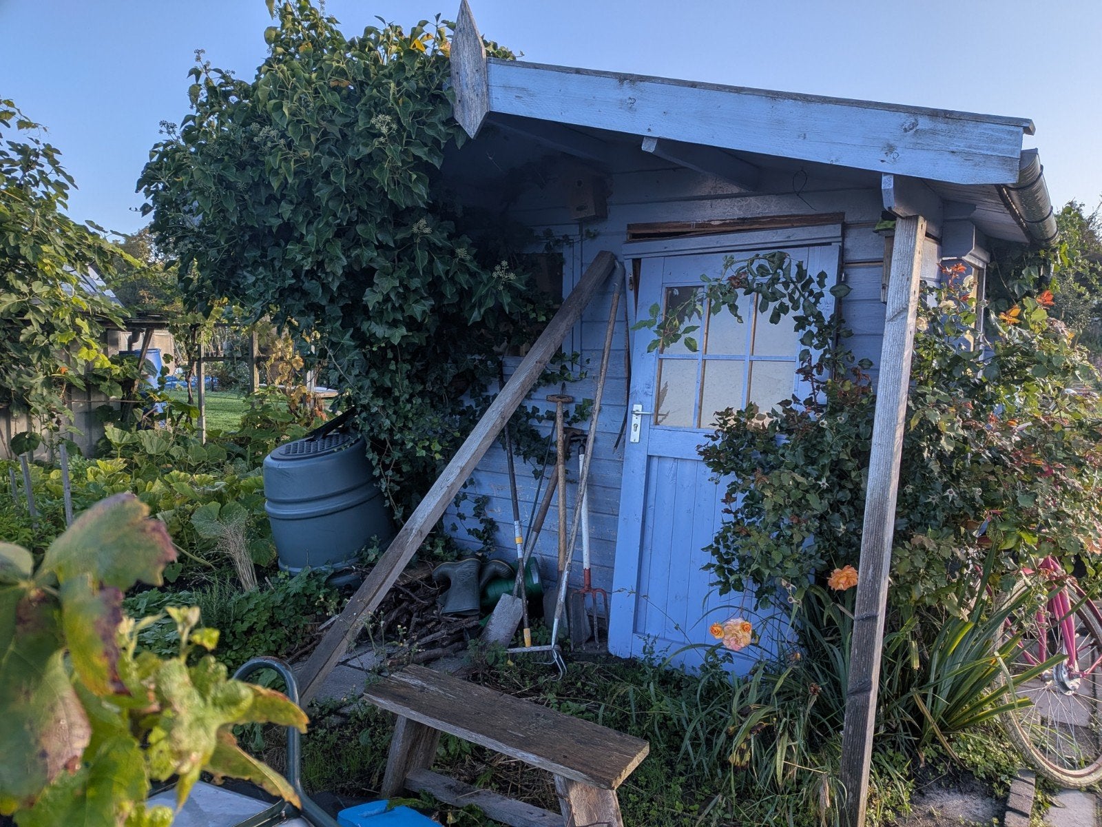 Gratis afgebroken tuinhuis: Planken en dakpannen, Ophalen, Gebruikt, 250 tot 500 cm