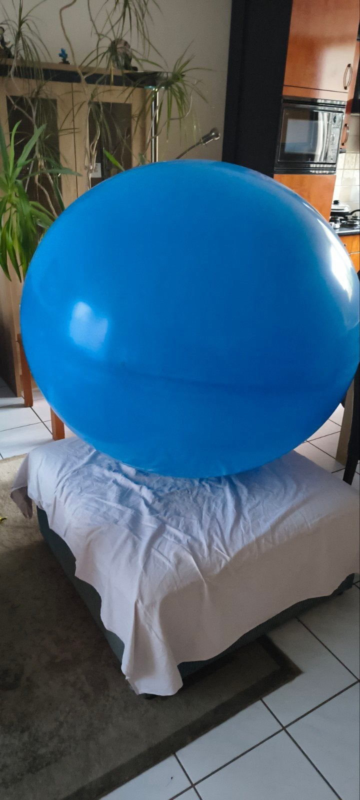 reuze ballonnen, Ophalen of Verzenden, Nieuw