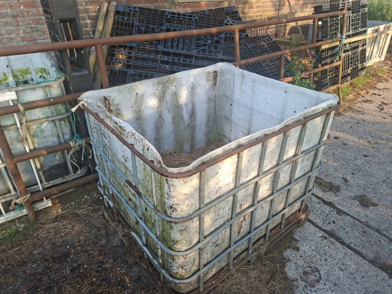 3 IBC containers: 2 slowfeeders, 1 waterbak, Ophalen
