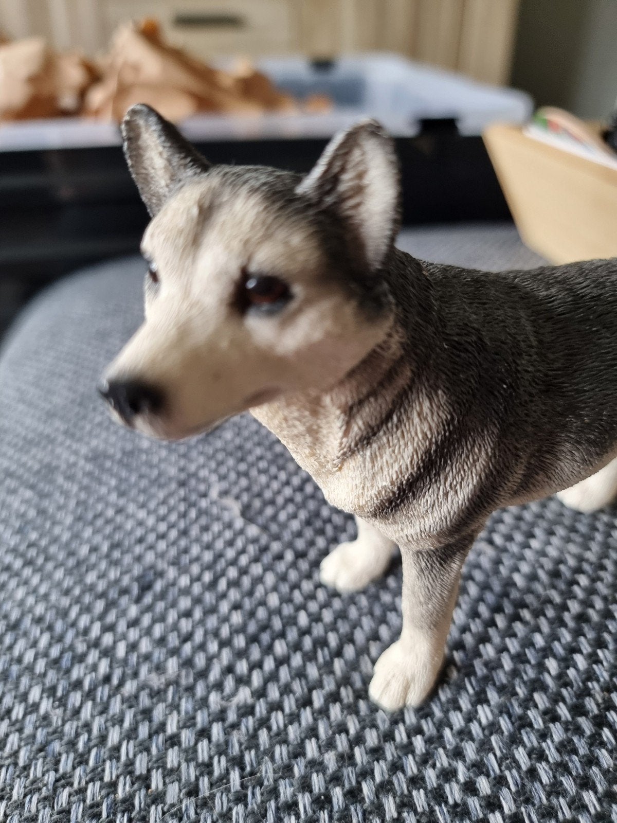 Husky honden beeld leonardo, Ophalen of Verzenden, Nieuw, Dier