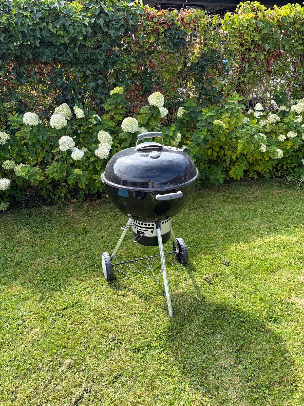 Weber master touch BBQ  - Perfect voor zomerse avonden!, Ophalen, Gebruikt