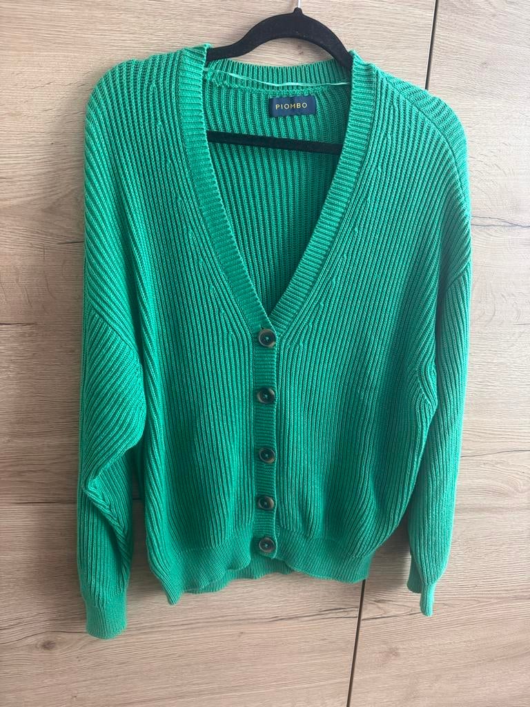Piombo OVS groen vest dames - Maat XL, Ophalen of Verzenden, Gedragen, Maat 46/48 (XL) of groter, Groen