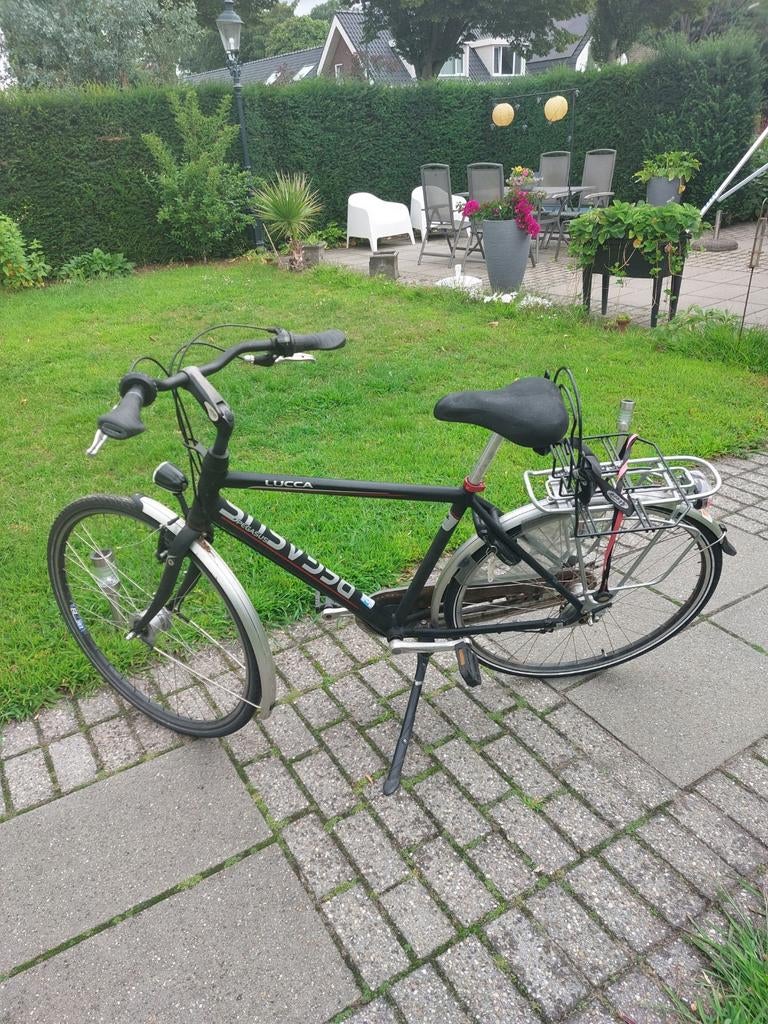 Pegasus herenfiets Lucca HN3 53, Fietsen en Brommers, Fietsen | Heren | Herenfietsen, Gebruikt, Overige merken, 53 tot 57 cm, Ophalen
