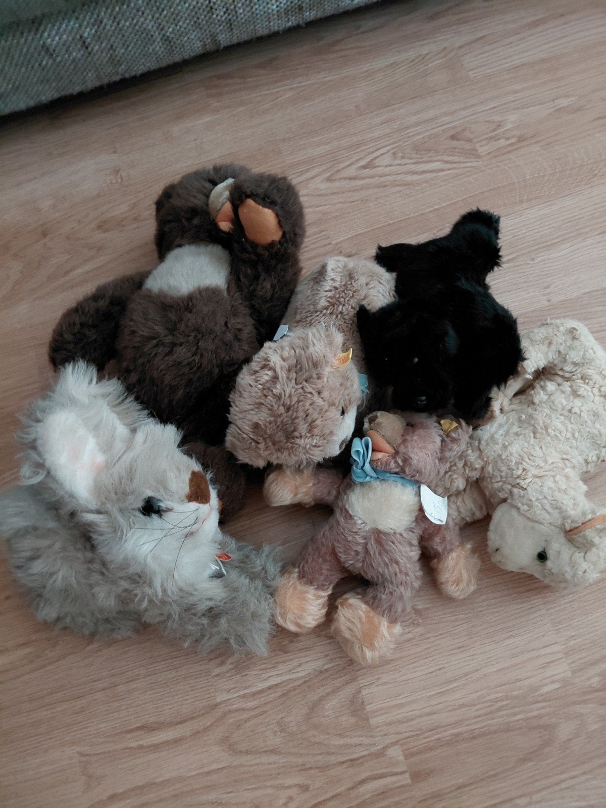 Steiff, Ophalen of Verzenden, Zo goed als nieuw, Stoffen beer, Steiff