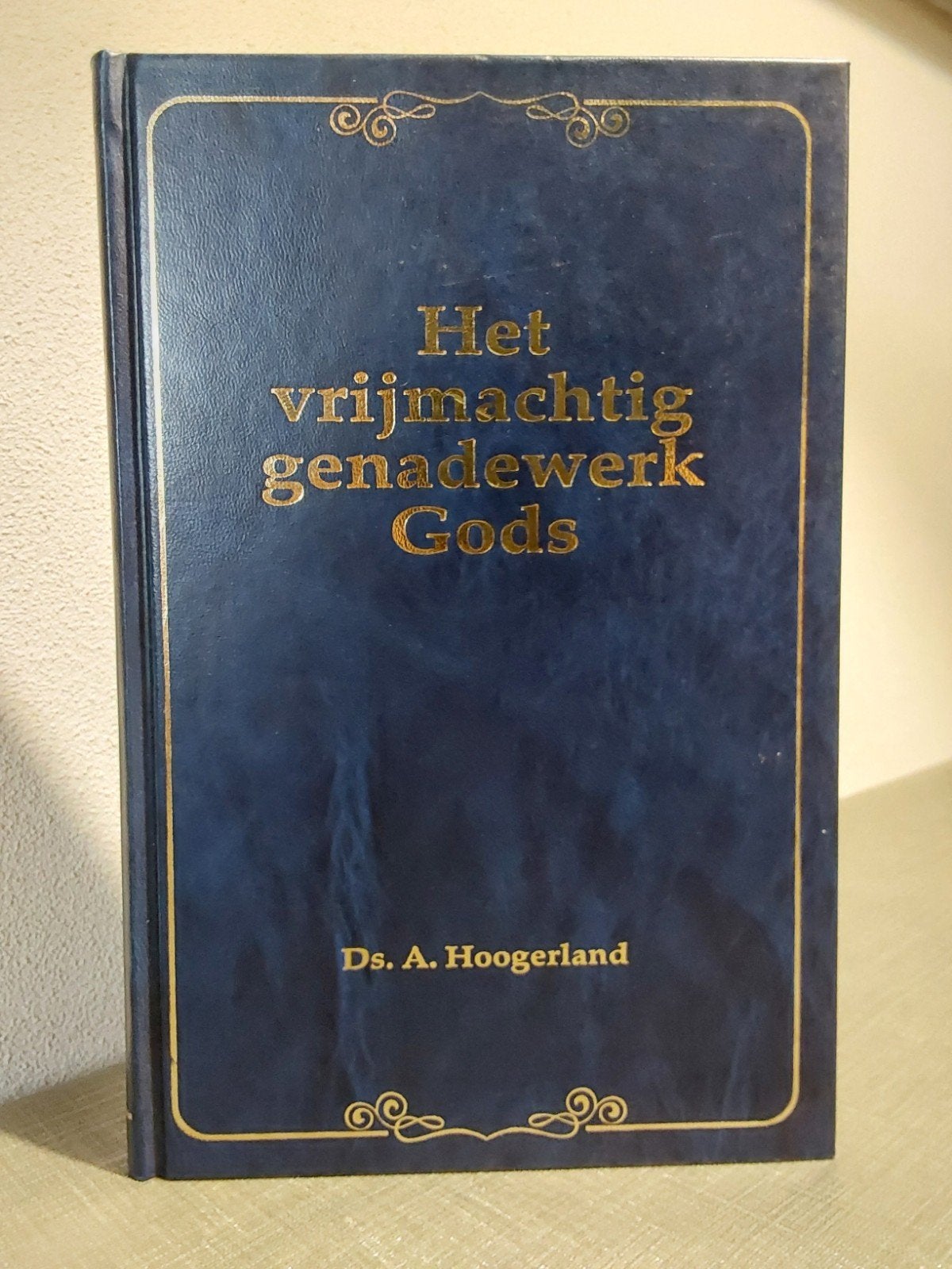 Predikaties van Ds Hoogerland, Gelezen, Christendom | Protestants, Ophalen of Verzenden, A. Hoogerland