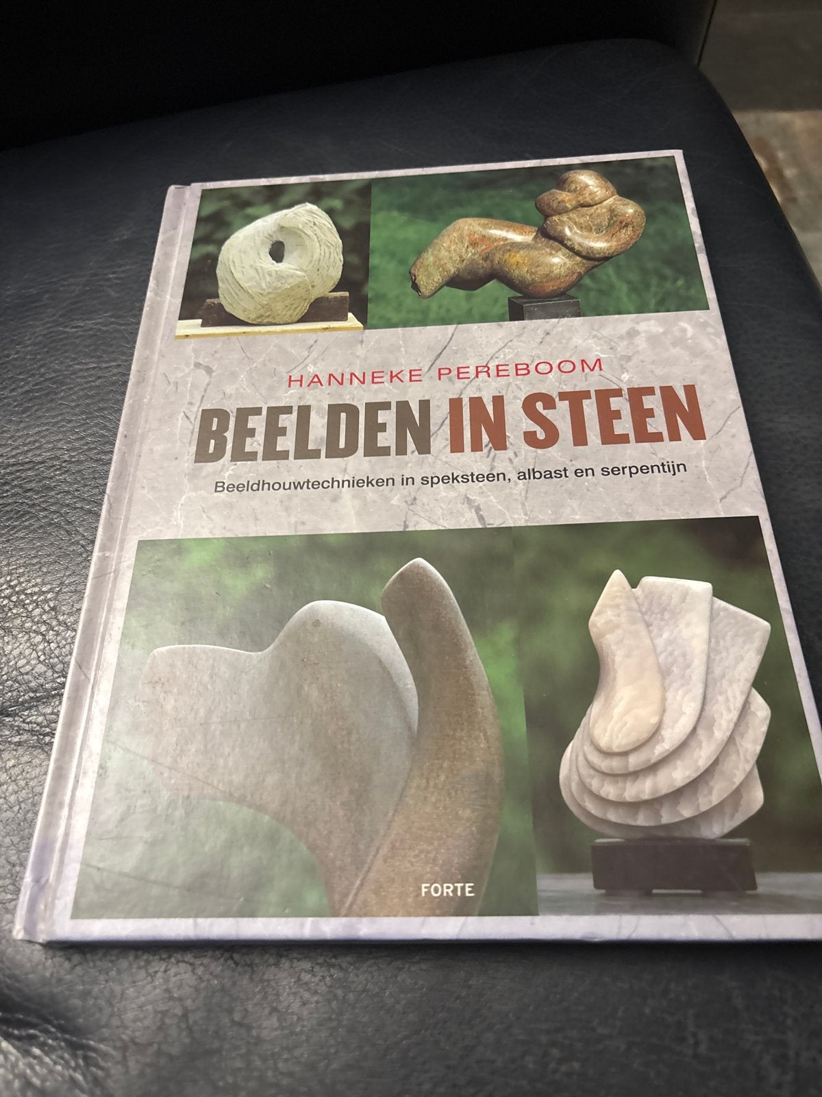 Beelden in Steen - Beeldhouwtechnieken, Verzenden, Zo goed als nieuw, Overige onderwerpen