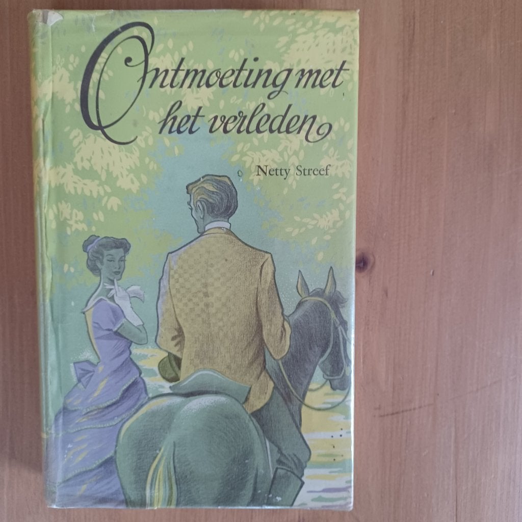 Ontmoeting met het verleden, Boeken, Gelezen, Netty Streef, Ophalen of Verzenden, Nederland