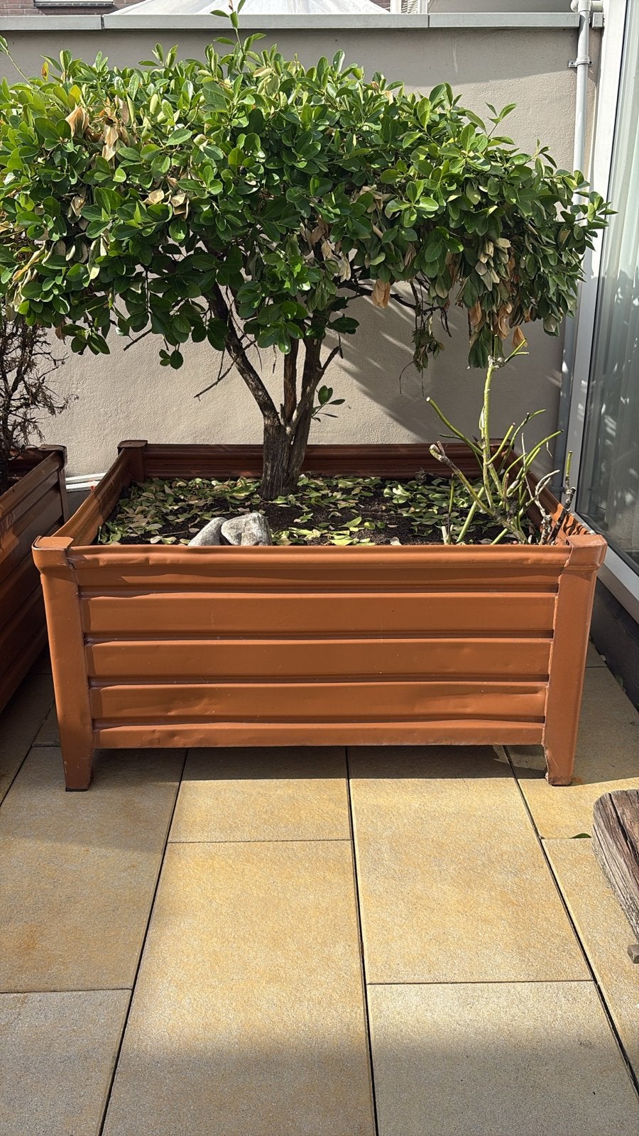 Stapelbakken van staal - Ideaal als plantenbak (7 stuks), Ophalen, Gebruikt, 100 cm of meer, Binnen