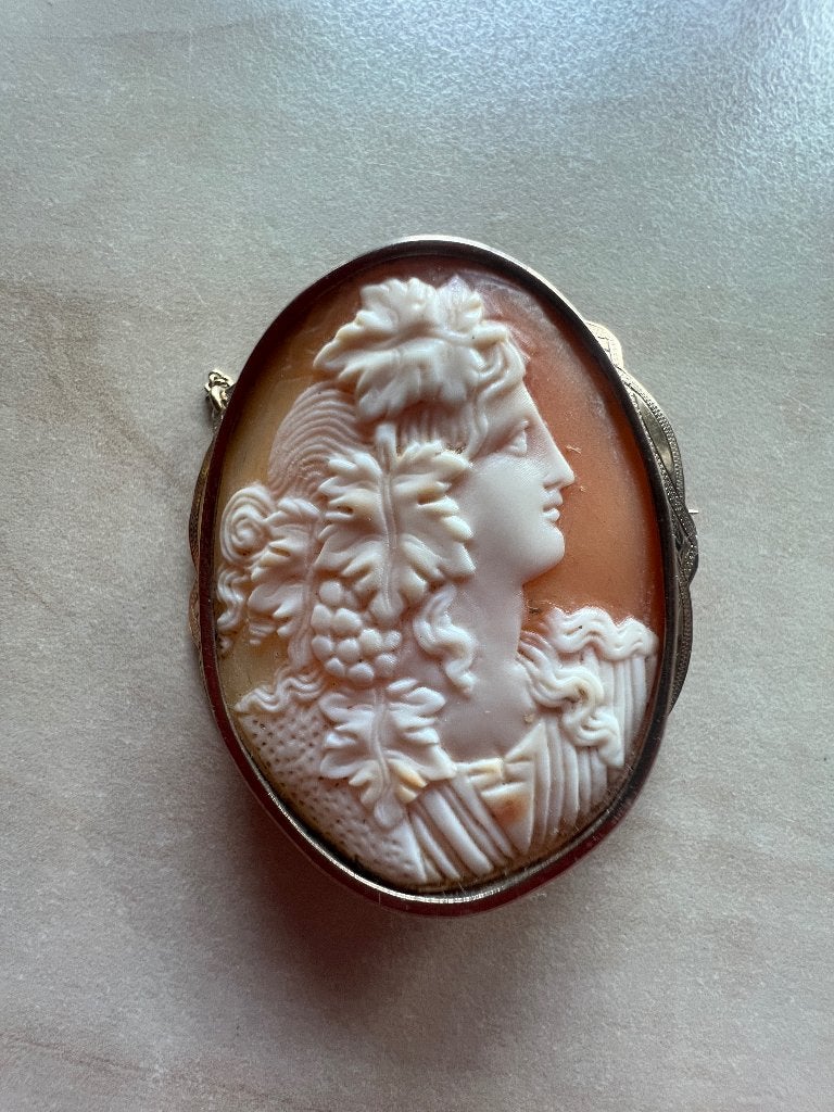 camee met gouden ketting, Overige materialen, 4 tot 7 cm, Gebruikt, Ophalen of Verzenden