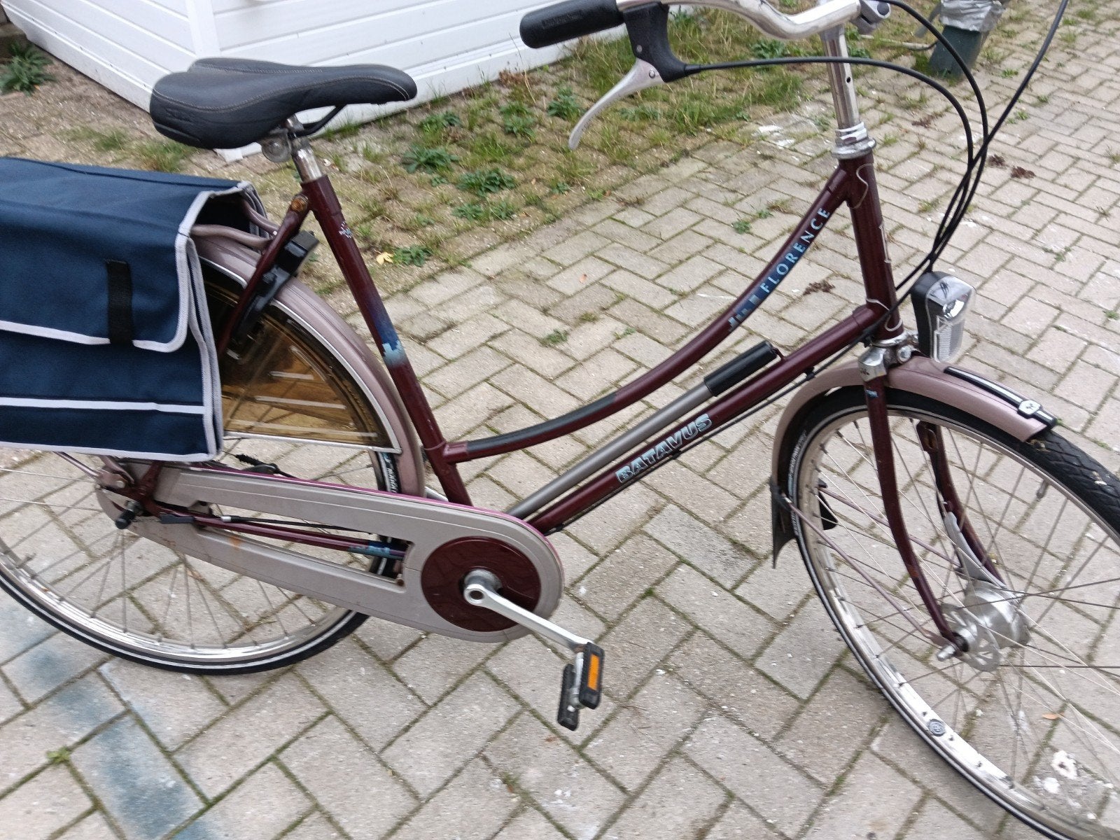 Batavus Florence Damesfiets met Fietstassen, Ophalen, Terugtraprem, Batavus, 53 tot 56 cm