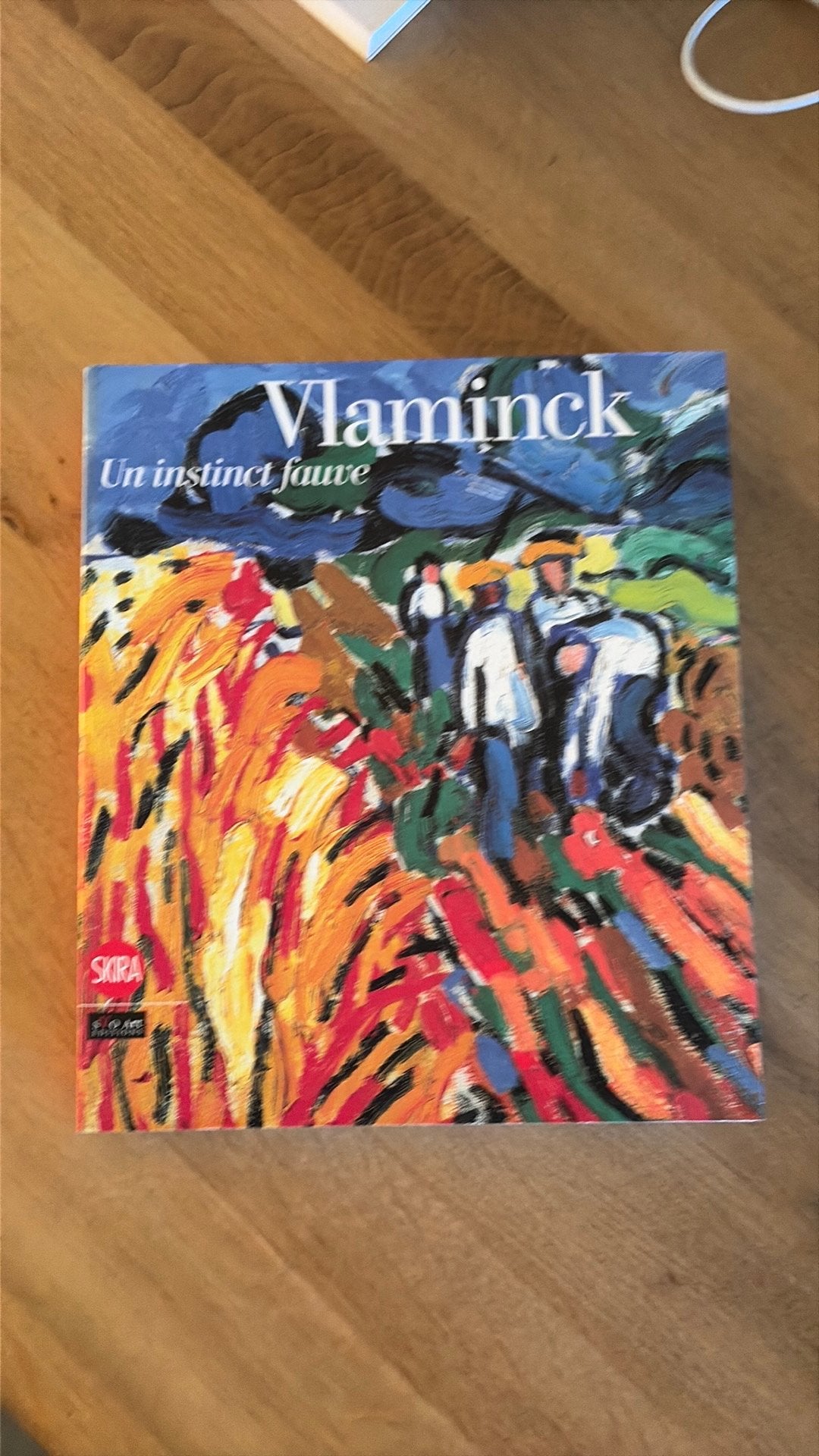 Vlaminck - Un instict fauve, Ophalen of Verzenden, Gelezen, Schilder- en Tekenkunst