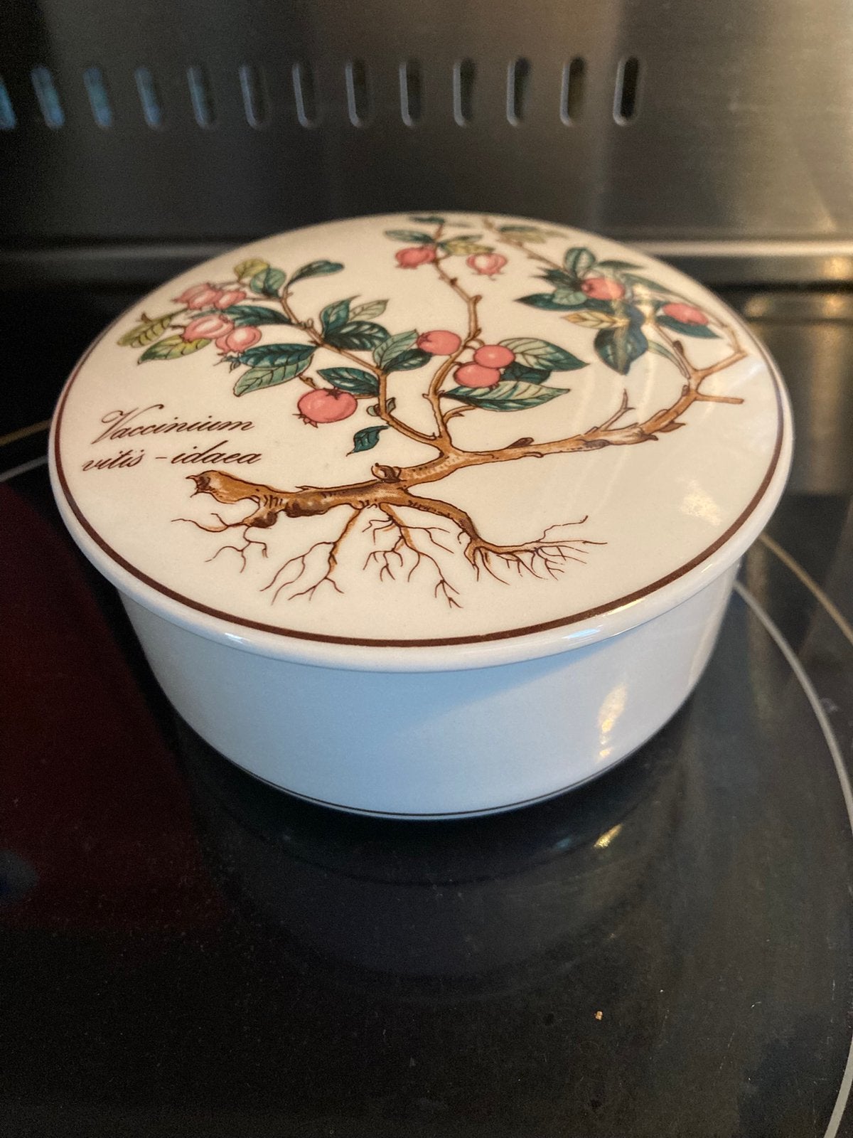 Villeroy & Boch Botanica Vitro pot met deksel Porselein, Ophalen