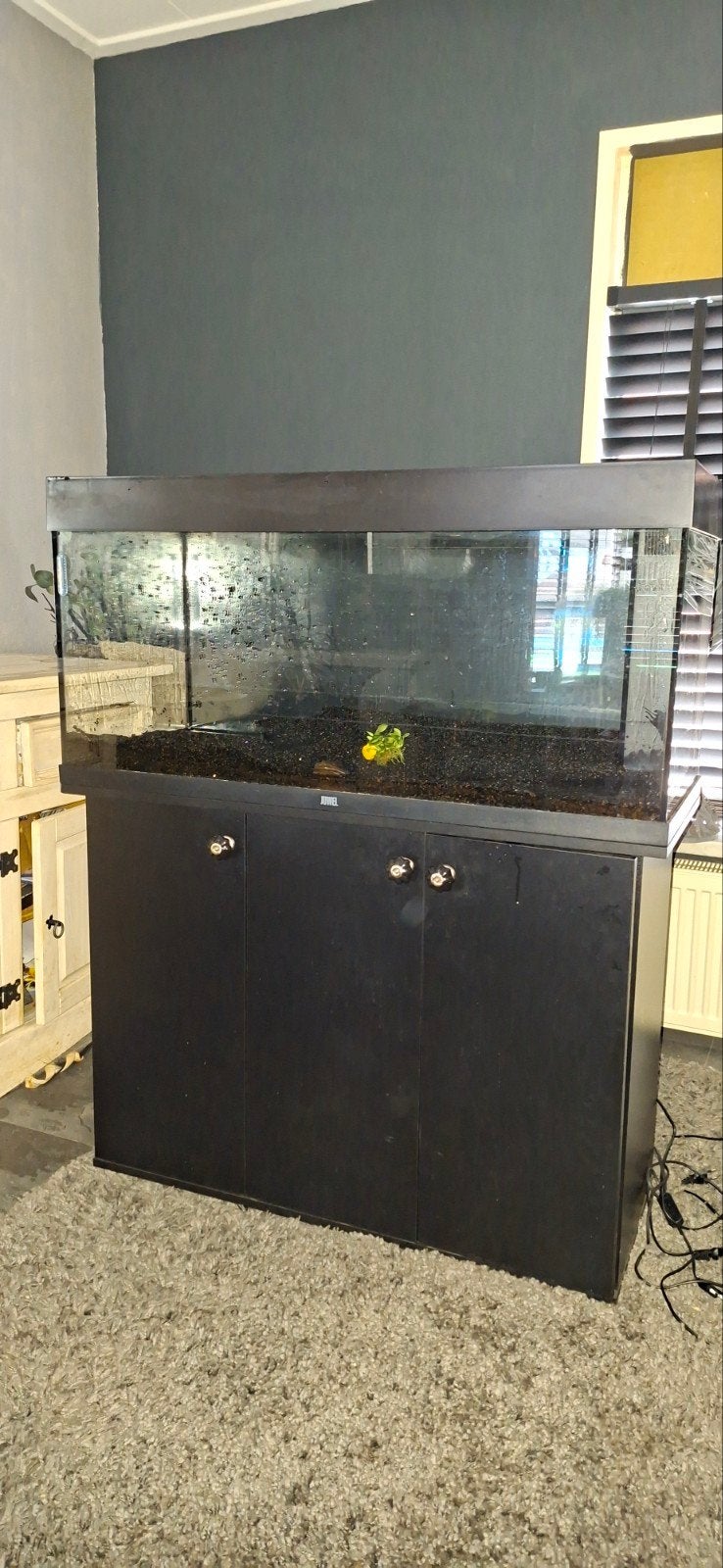aquarium juwel, Ophalen, Zo goed als nieuw, Grind, Zand of Voedingsbodem, Juwel