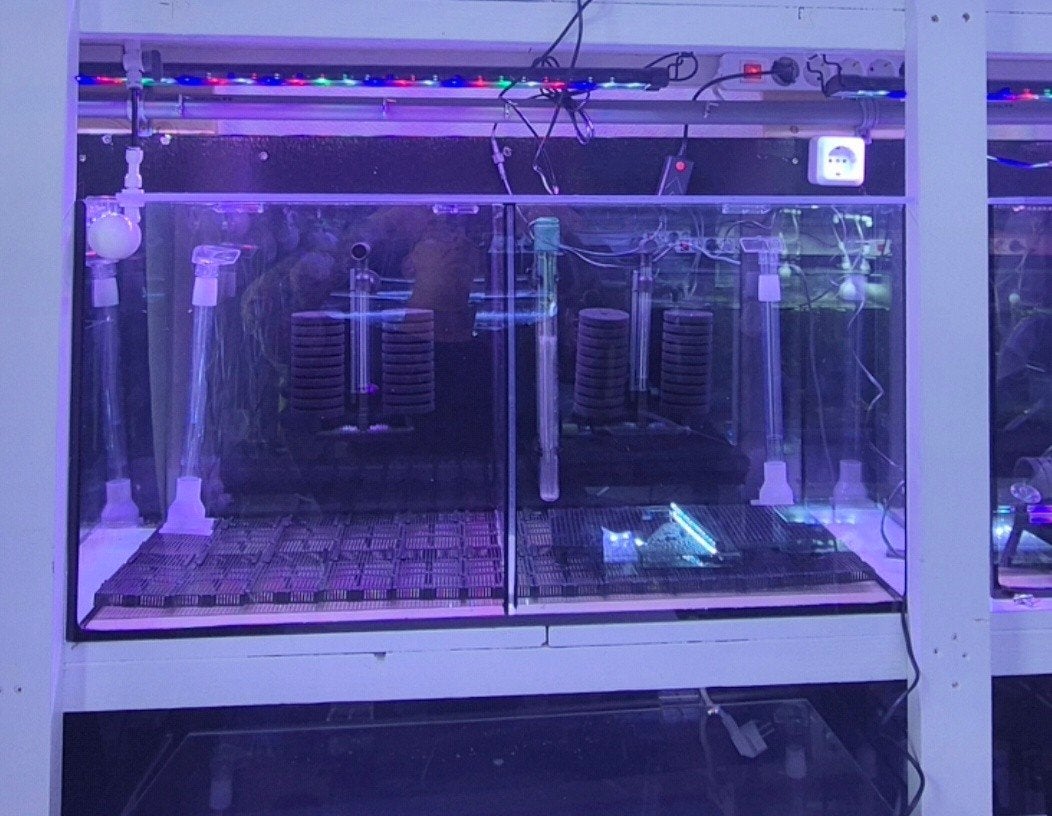 aquarium, Dieren en Toebehoren, Ophalen, Nieuw
