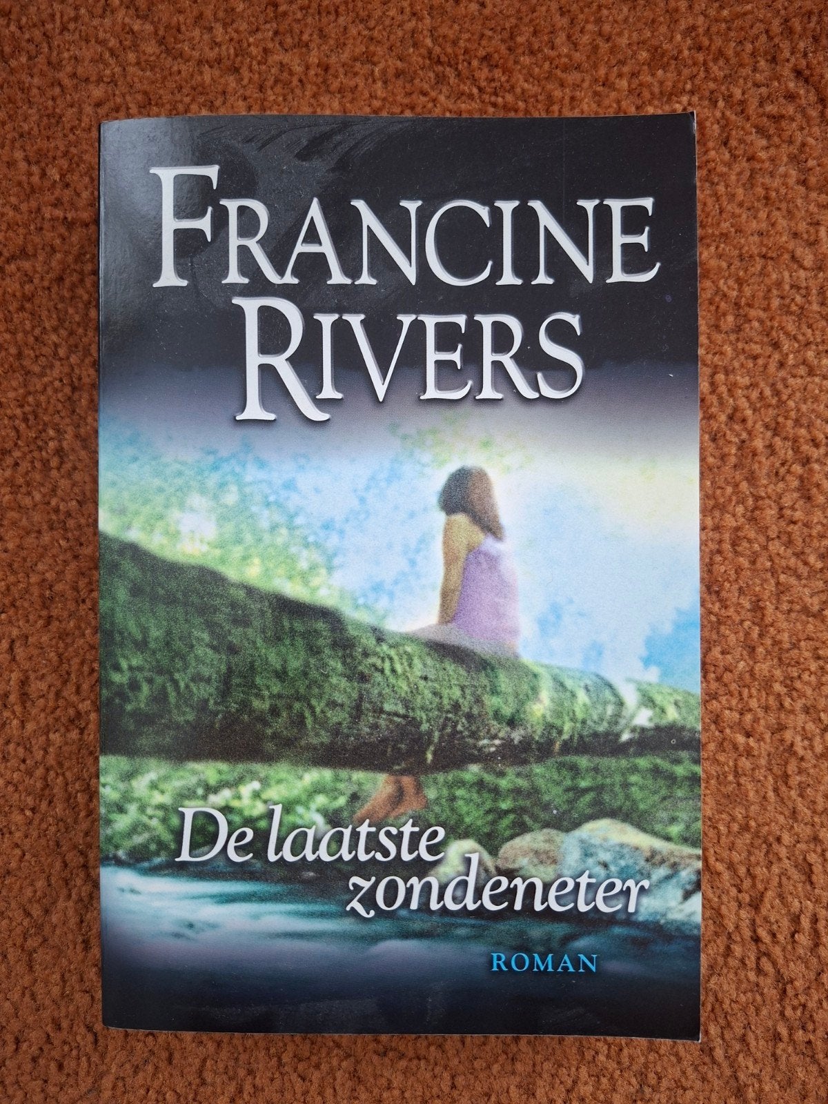 De Laatste Zondemeter - Francine Rivers Roman, Ophalen of Verzenden, Zo goed als nieuw, Francine Rivers, Nederland
