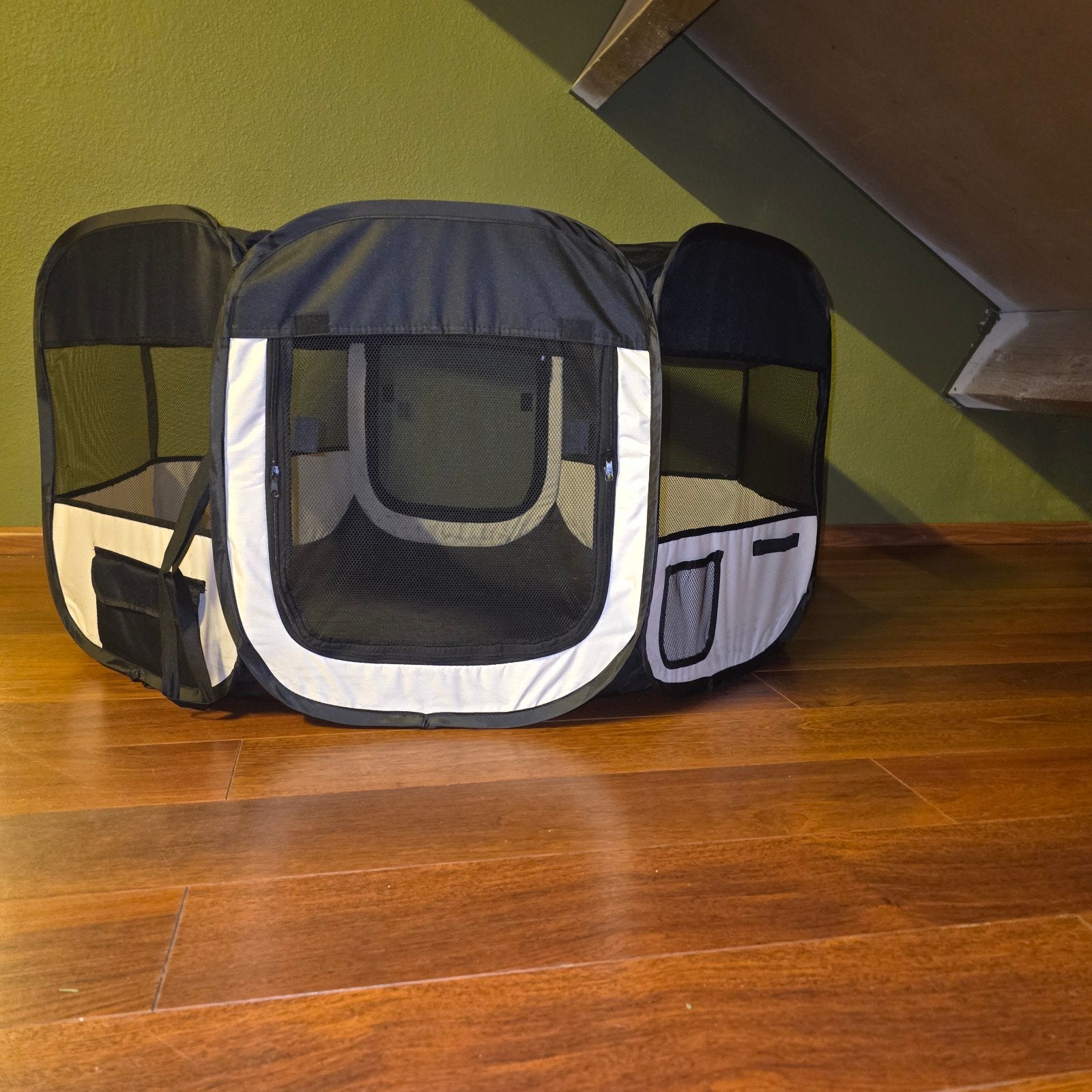 bench honden / katten /puppy's / Kittens, Dieren en Toebehoren, Ophalen of Verzenden