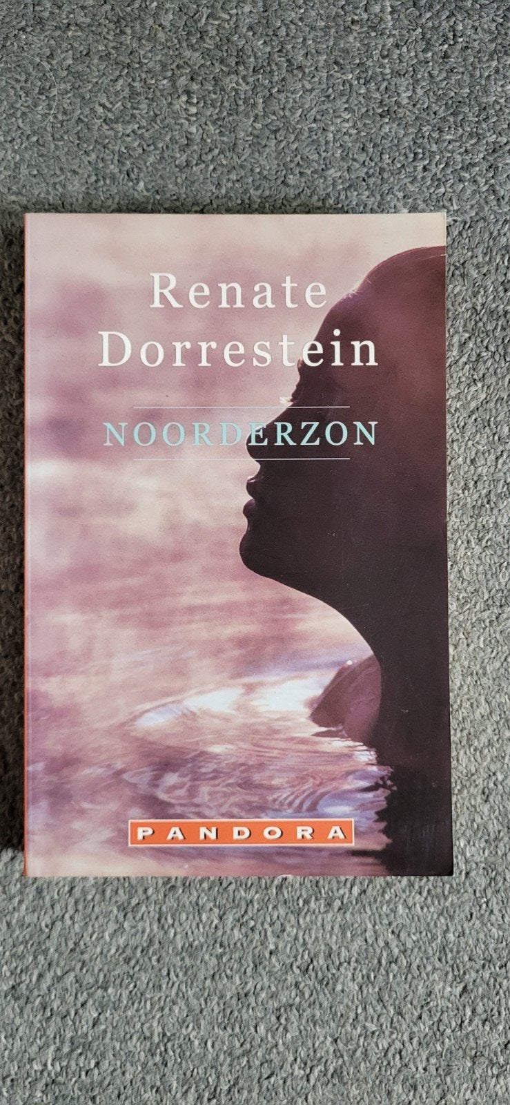 Noorderzon - Renate Dorrestein (Pandora), Ophalen of Verzenden, Gelezen, Renate Dorrestein, Nederland